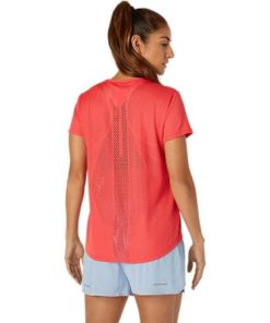 Newbrie.shop04cf2b585c 2