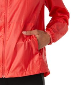 Newbrie.shop4078a36ac8 4