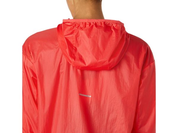 Newbrie.shop4078a36ac8 5