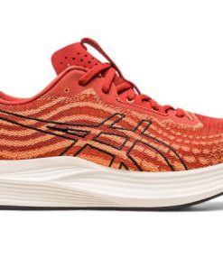 Newbrie.shop5063c0dcb9 1