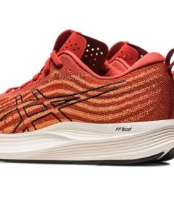 Newbrie.shop5063c0dcb9 3