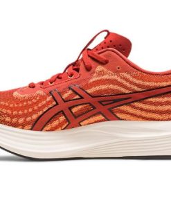 Newbrie.shop5063c0dcb9 4