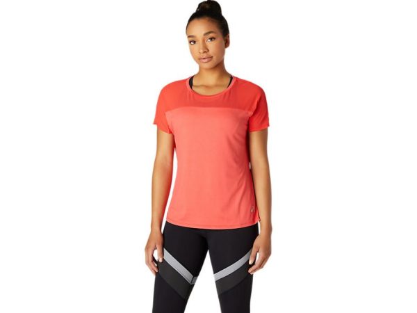 Newbrie.shopdba1822152 1