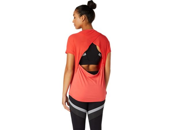 Newbrie.shopdba1822152 2