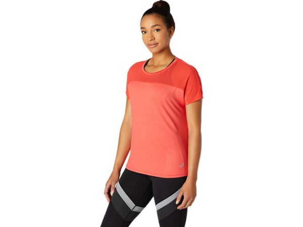 Newbrie.shopdba1822152 3