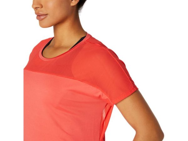 Newbrie.shopdba1822152 4