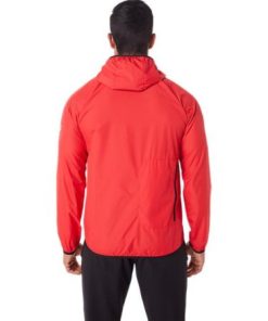 Newbrie.shopdbbda7e182 2